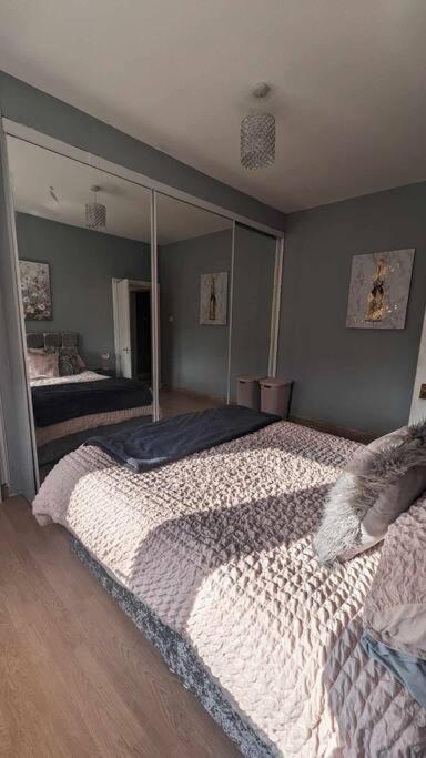 Lovely 2 Bedroom Apartment In Heart Of Dundee Exteriör bild